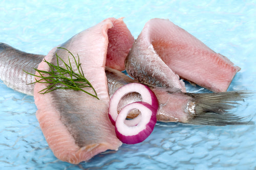 Mildly Pickled Matjes Herring - 16 oz glass jar