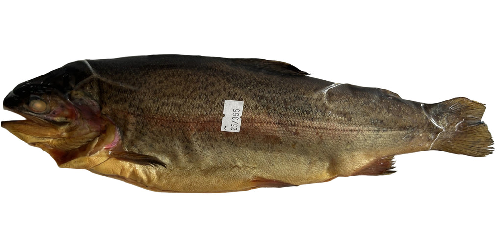 Rainbow Trout - Hot Smoked